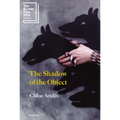 The Shadow of the Object