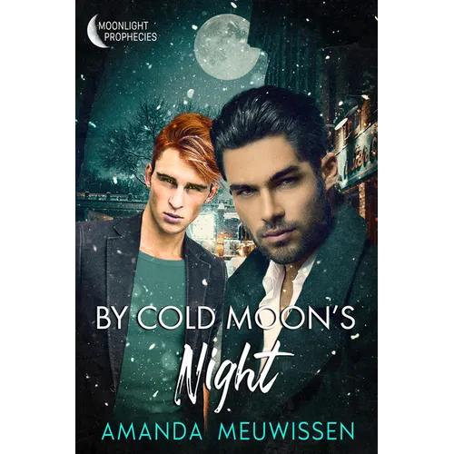 By Cold Moon's Night