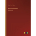 More Hunting Wasps: in large print