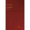 In the Wilderness: in large print