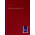 Opinions concerning Jesus Christ