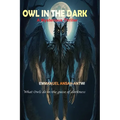 Owl in the Dark