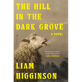 The Hill in the Dark Grove