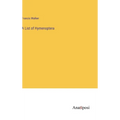 A List of Hymenoptera