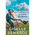 Sexy Surprises Volume 2: 24 Public Sex Stories