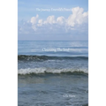 Cleansing The Soul: The Journey Emerald's Travels